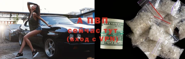прущие грибы Аксай
