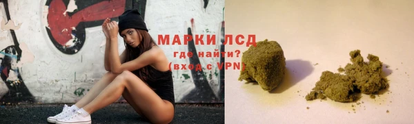 прущие грибы Аксай