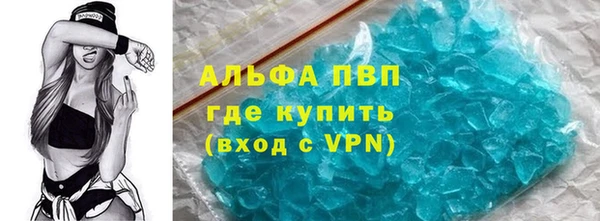 прущие грибы Аксай