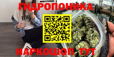 прущая мука Аргун