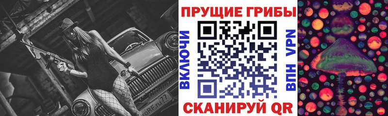 Галлюциногенные грибы Psilocybe  Аргун 