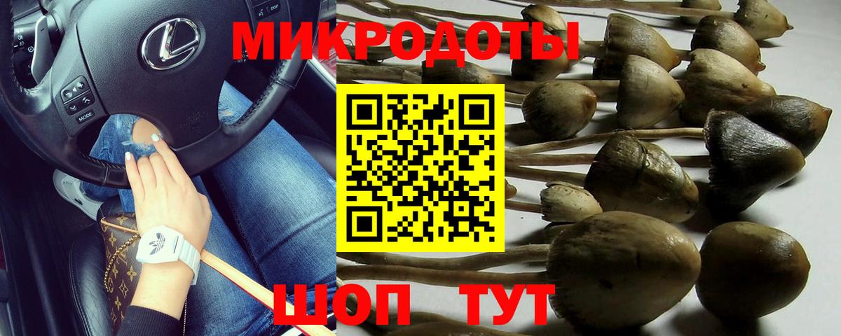 Галлюциногенные грибы мухоморы Аргун