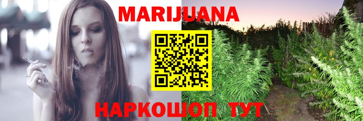 Шишки марихуана конопля  Бошки марихуана THC 21%  Каннабис сатива  Каннабис ГИДРОПОН  Аргун 
